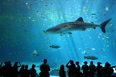 Underwater World Langkawi
