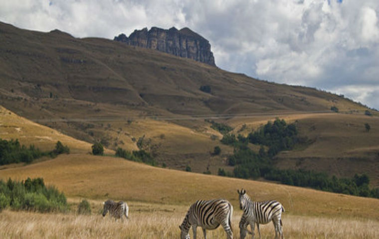 1369726 7 1acc paysage du parc national du drakensberg dans
