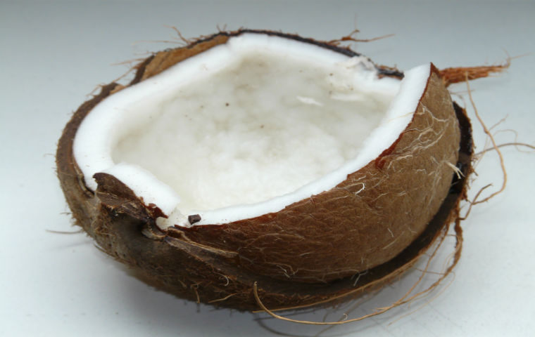 Noix de coco
