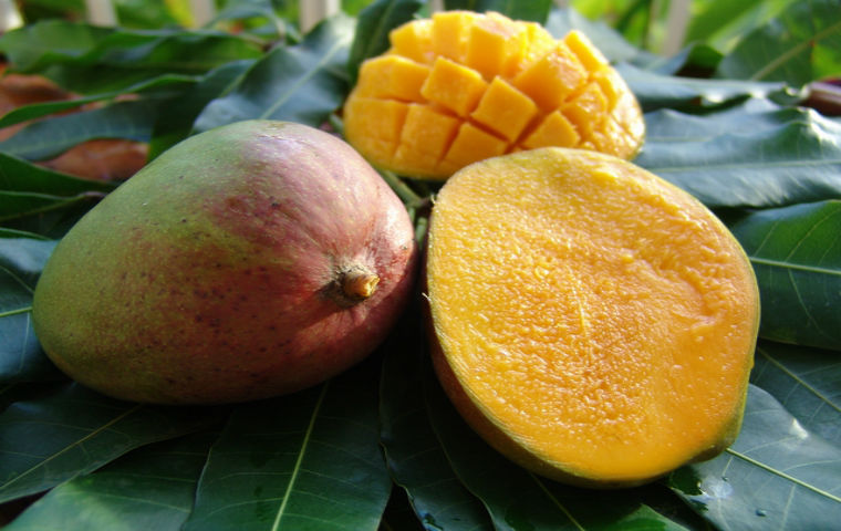 mangue