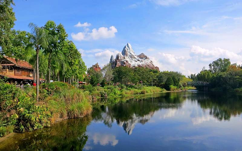 disney s animal kingdom