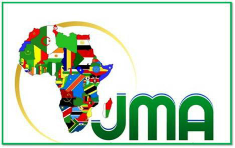 journee internationale de l afrique onu