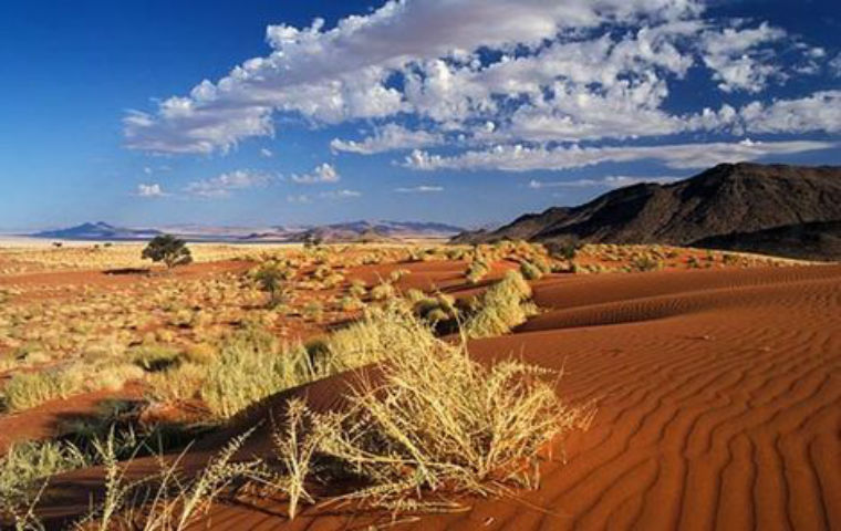 fictif premiers regards namibie kalahari 210154 pghd